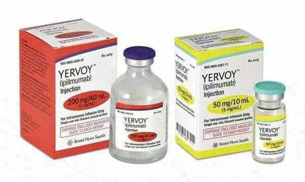 Nếu bạn đang tìm kiếm một cơ hội sống còn mới trong điều trị ung thư phổi Nivolumab và Ipilimumab có thể là câu trả lời Nếu bạn đang tìm kiếm một cơ hội sống còn mới trong điều trị ung thư phổi Nivolumab và Ipilimumab có thể là câu trả lời
