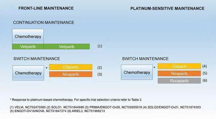 PARP Inhibitor là gì? Vì sao Niraparib trở thành lựa chọn ưu tiên trong điều trị ung thư buồng trứng? PARP Inhibitor là gì? Vì sao Niraparib trở thành lựa chọn ưu tiên trong điều trị ung thư buồng trứng?