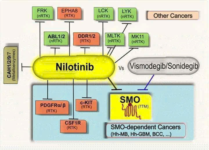 Hiệu quả lâm sàng nổi bật của Nilotinib qua các thử nghiệm ENEST Hiệu quả lâm sàng nổi bật của Nilotinib qua các thử nghiệm ENEST