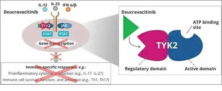 Deucravacitinib – thuốc uống mới điều trị vẩy nến mảng bám từ trung bình đến nặng Deucravacitinib – thuốc uống mới điều trị vẩy nến mảng bám từ trung bình đến nặng
