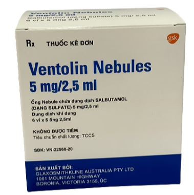 Thuốc Ventolin Nebules 5.0mg Gsk (H/6v/5o)